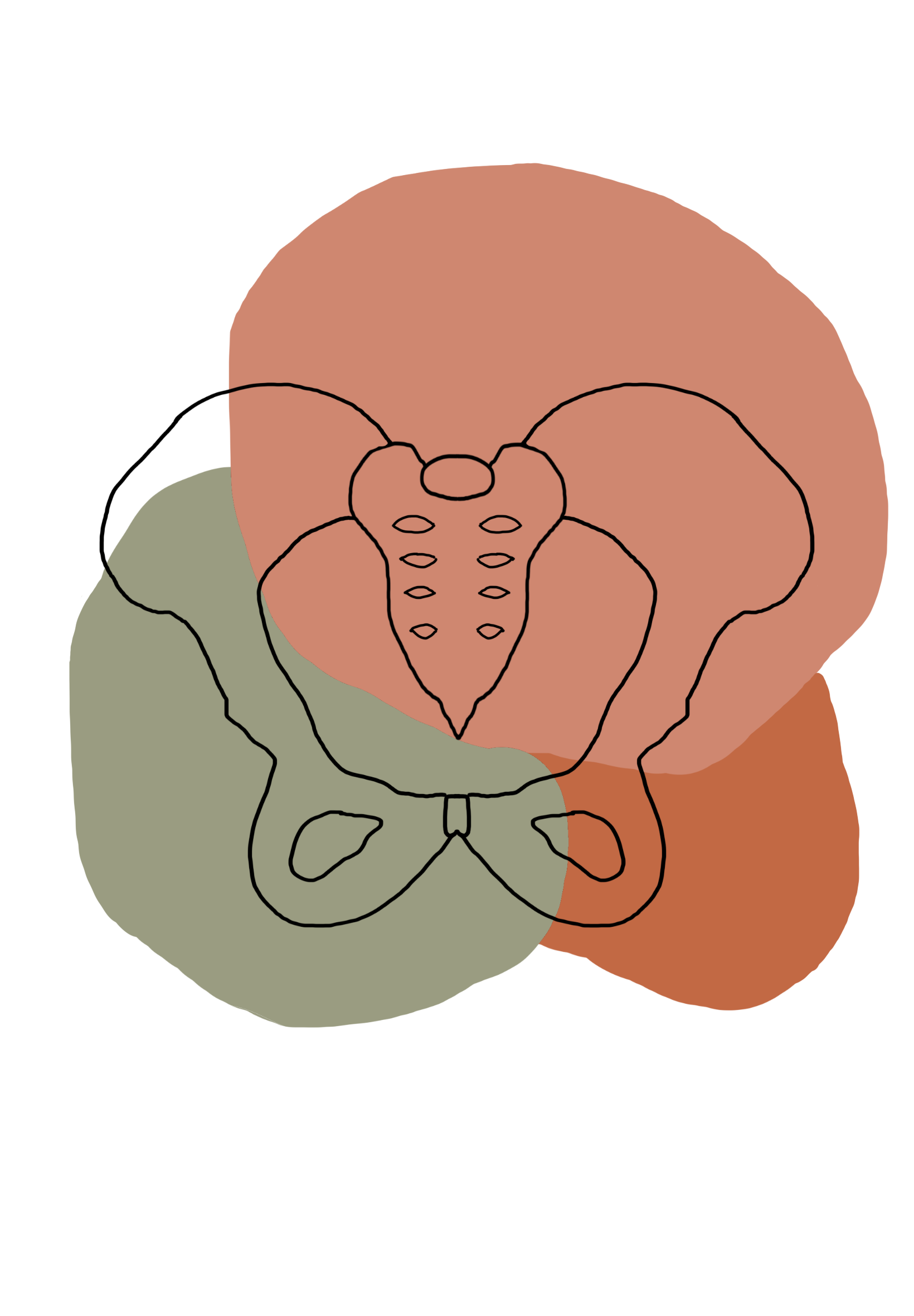 Terra Pelvic Health